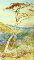 Paisaje